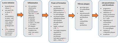 Silicon in prevention of atherosclerosis and other age-related diseases